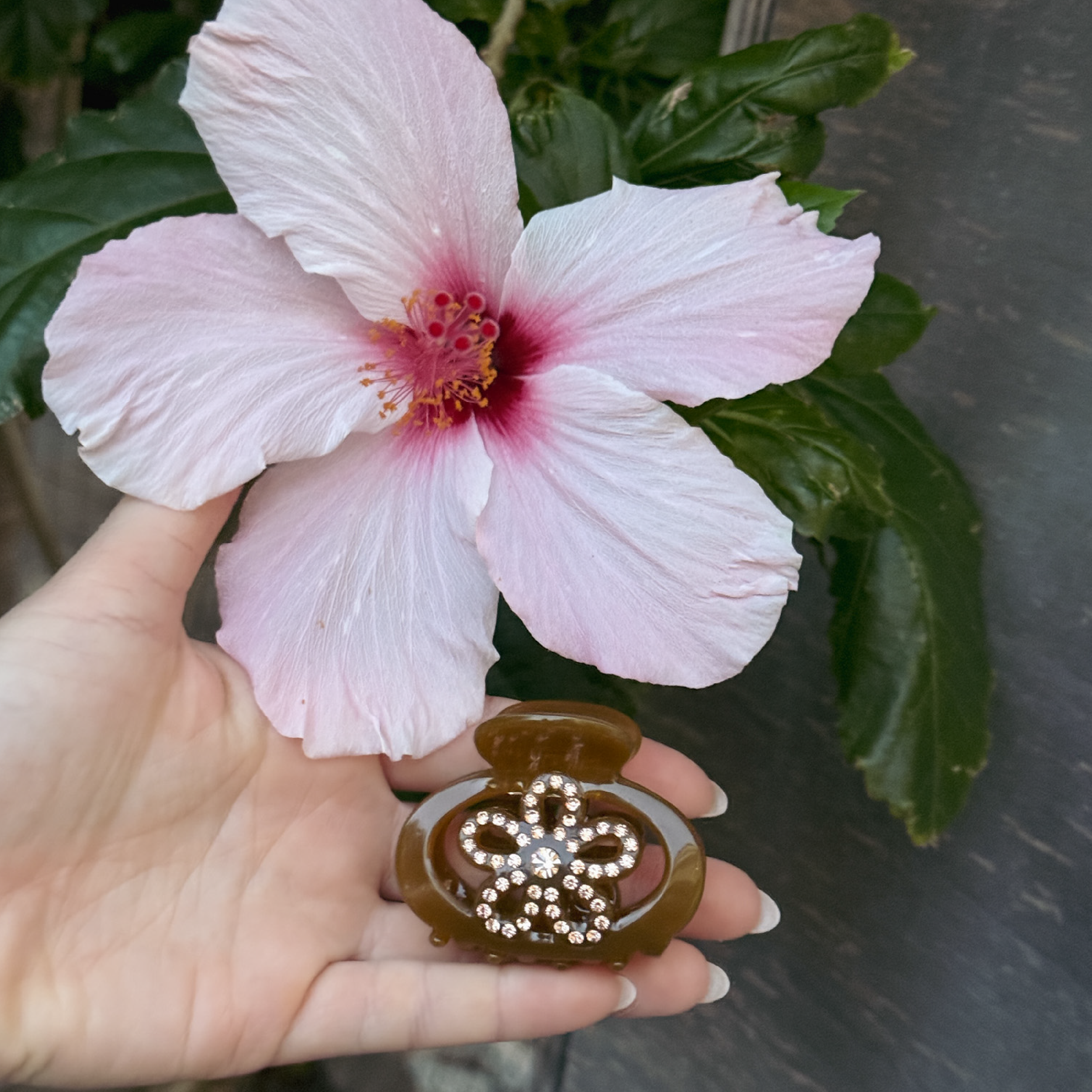 Chloe Flower Clip Brown